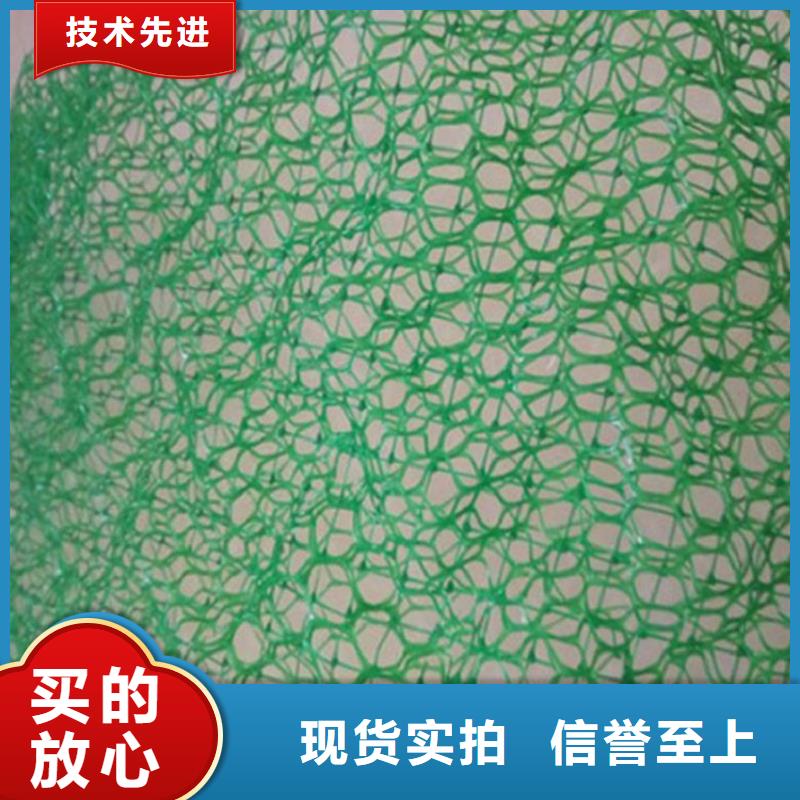 EM4三维固土网垫-3层4层三维植被网