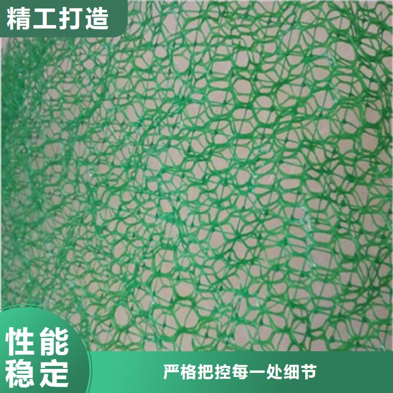 三维植草网垫边坡草皮