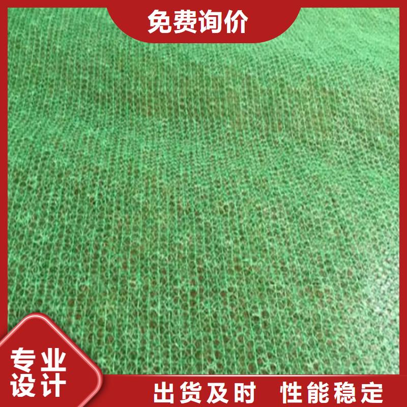 三维植被网-软式透水管经验丰富质量放心