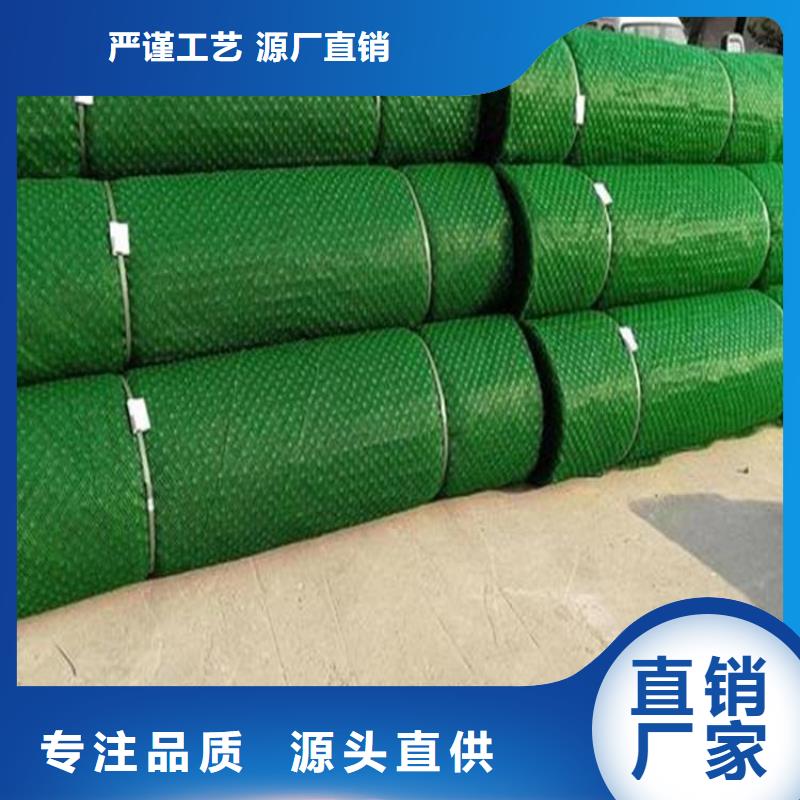 三维固土网垫EM4三维固土网垫