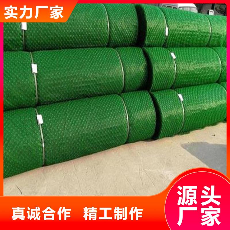 三维固土网垫市场批发