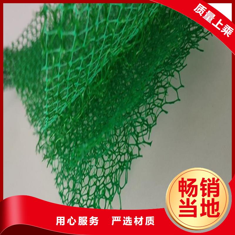 加筋塑料三维固土网垫