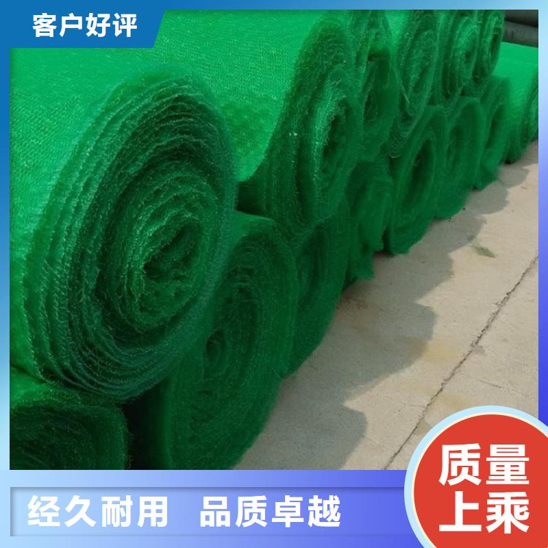 EM5绿化三维土工网垫