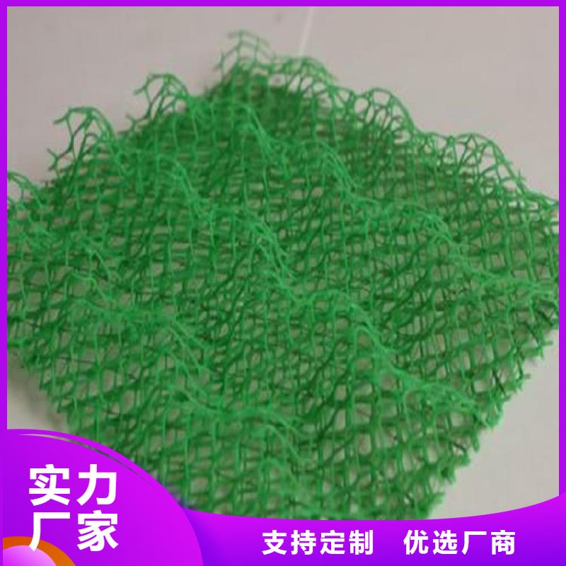 EM3三维加筋网垫