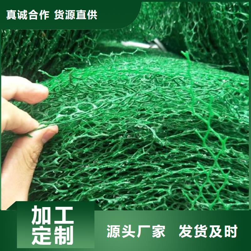 三维植被网-EM4三维护坡植草网垫