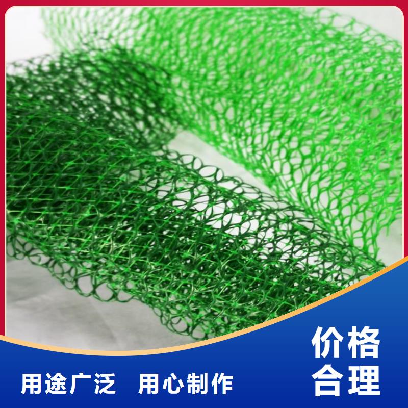 三维植被网-EM3三维固土网垫