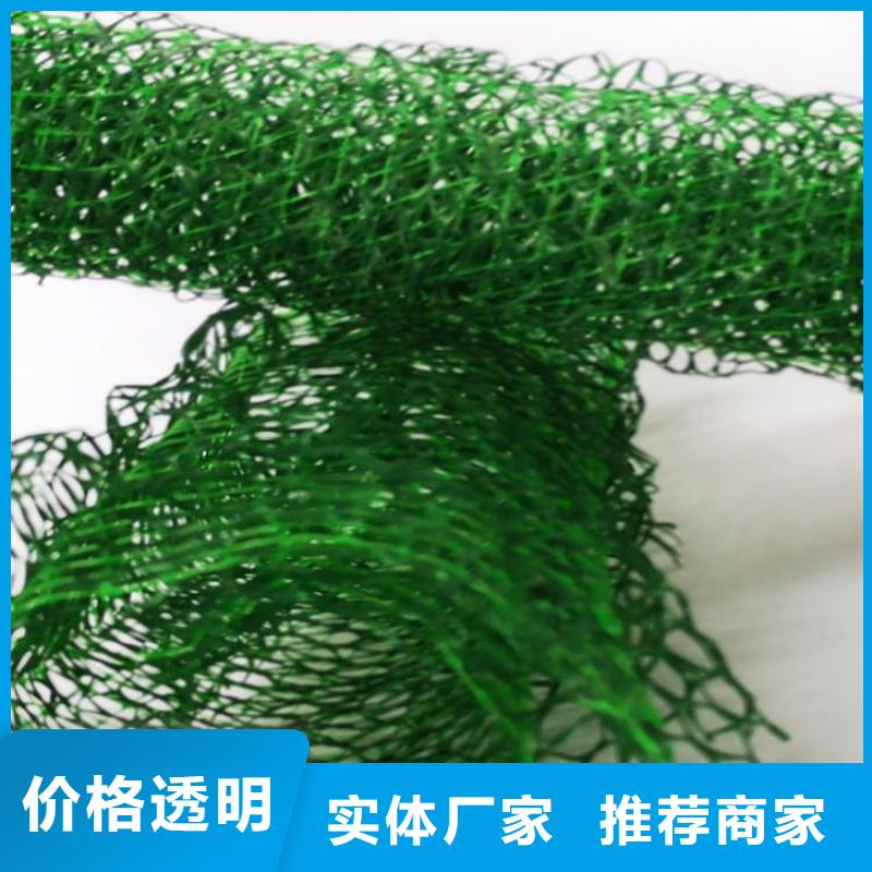 EM3三维土工网垫-边坡三维植被网