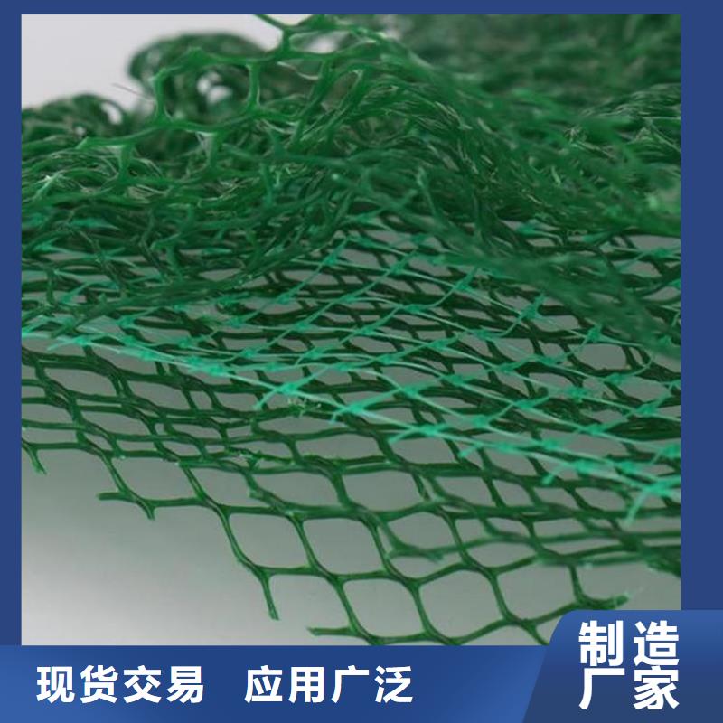 三维植被网拉筋带安心购