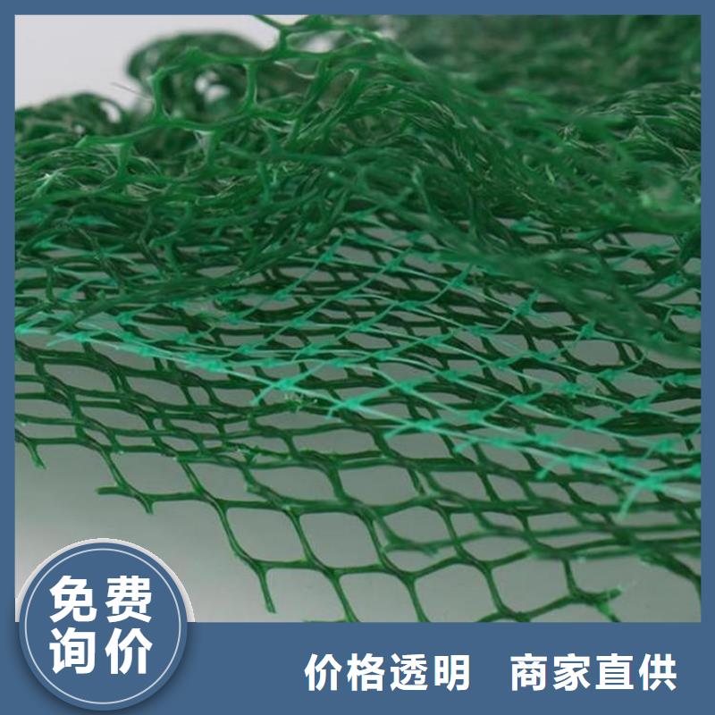 三维植被网-EM3三维固土网垫