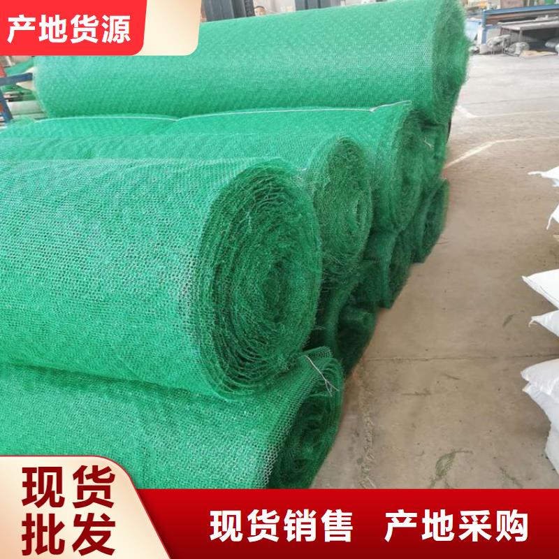 三维土工网垫厂家代理