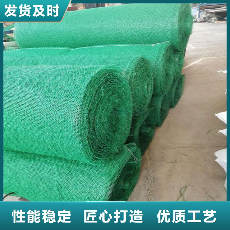 三维土工网垫-EM4三维固土网垫