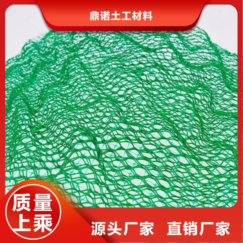 三维固土网垫EM4三维护坡植草网垫