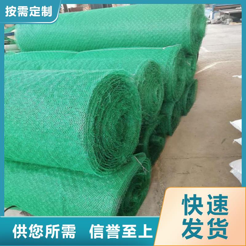三维固土网垫三维加筋网垫