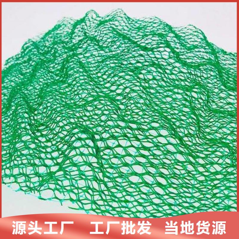 三维土工网垫-EM4三维护坡植草网垫