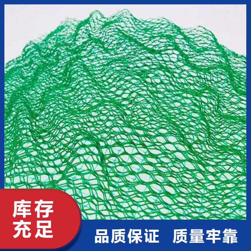三维固土网垫