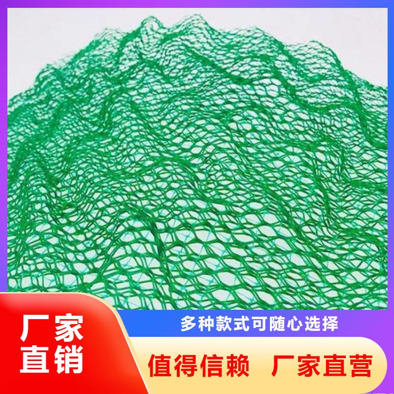 三维固土网垫EM3三维土工网垫