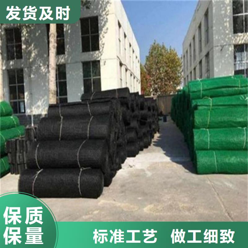 三维植被网拉筋带安心购
