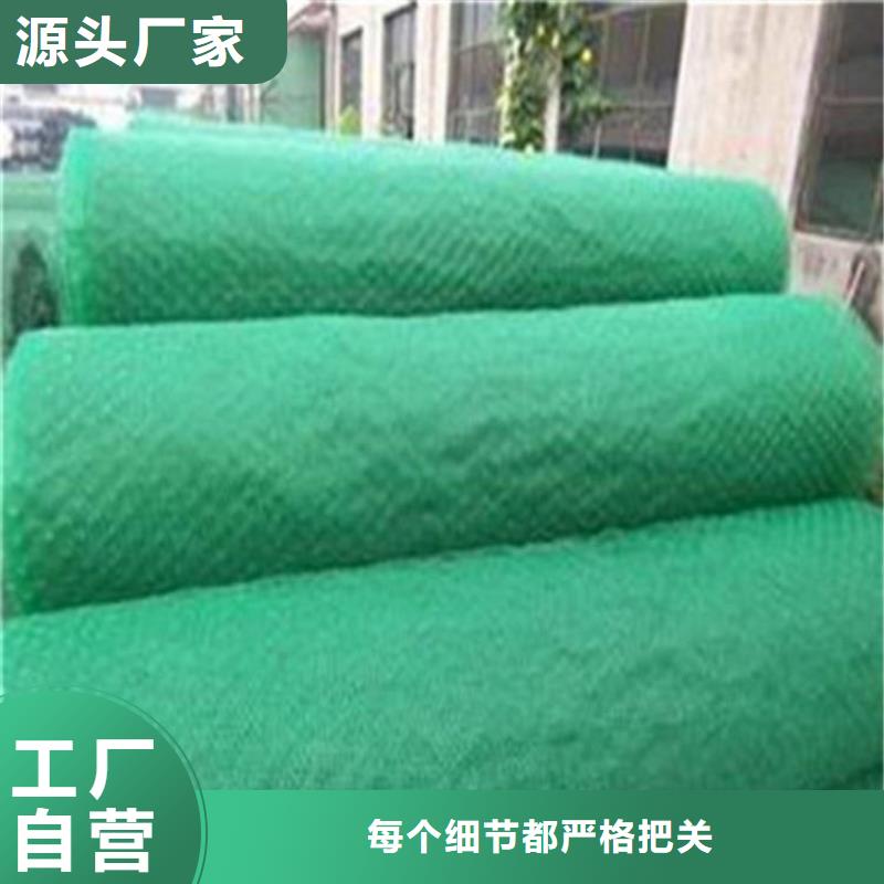 三维植被网厂家-量大从优