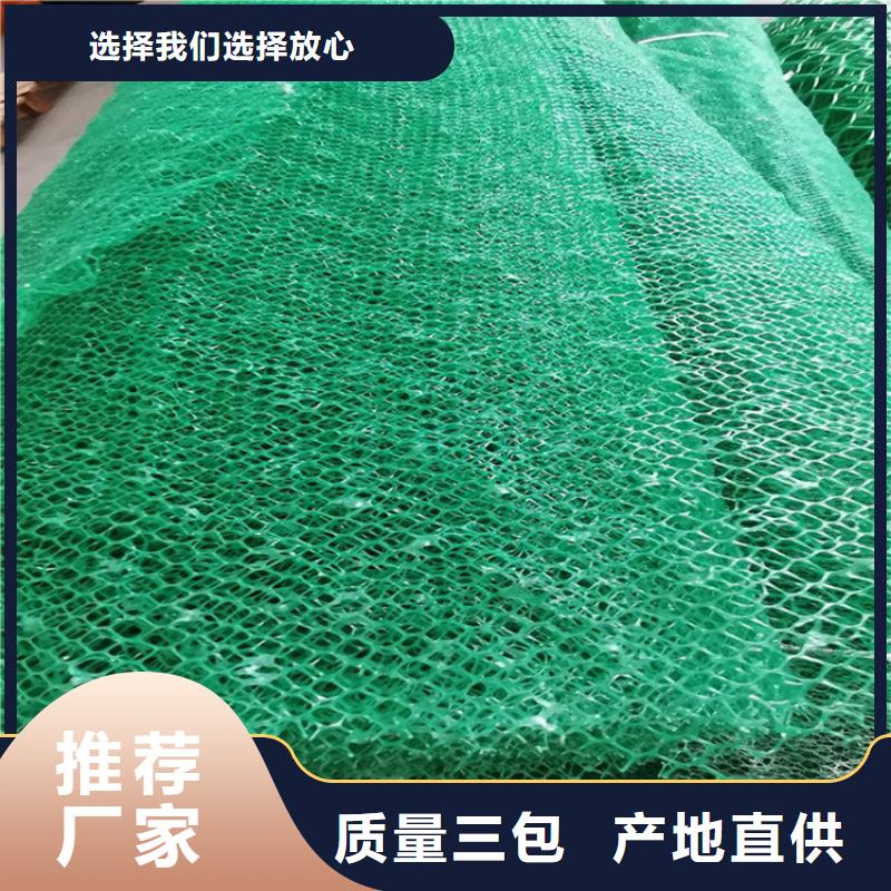 三维植草网垫环保加筋