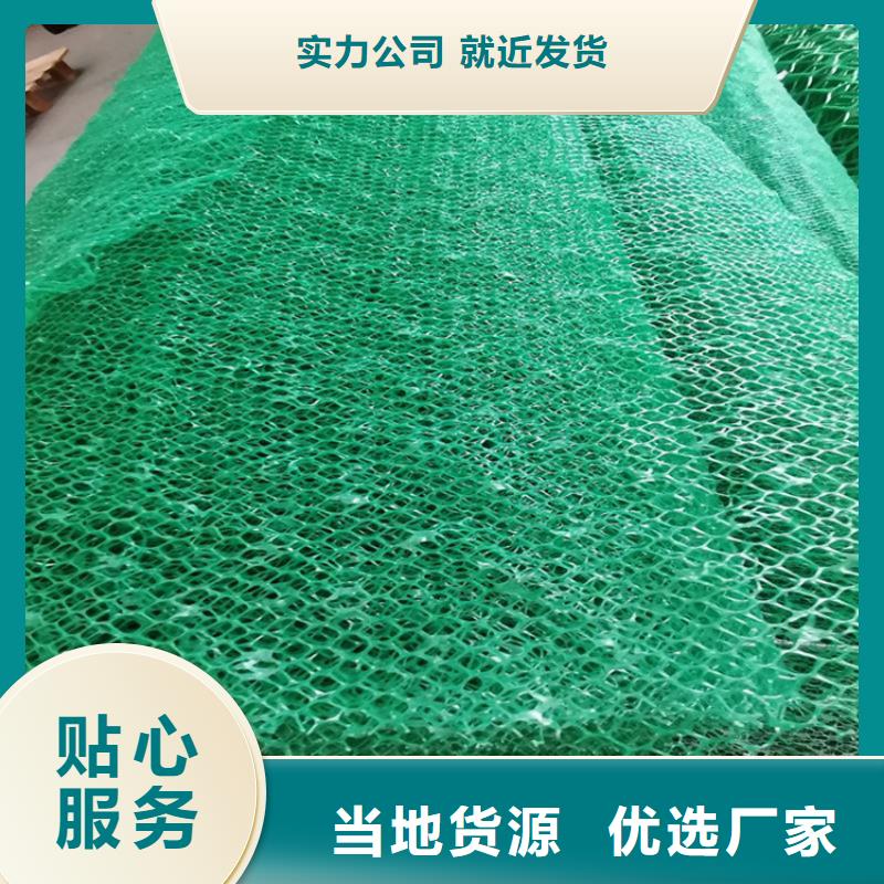 EM4三维固土网垫
