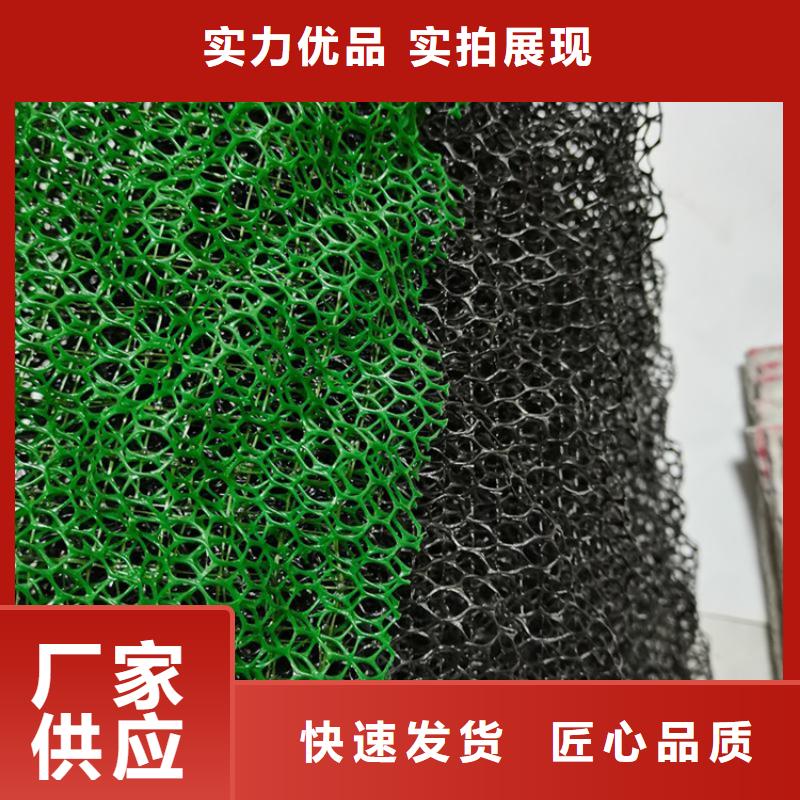 三维固土网垫EM3三维加筋网垫