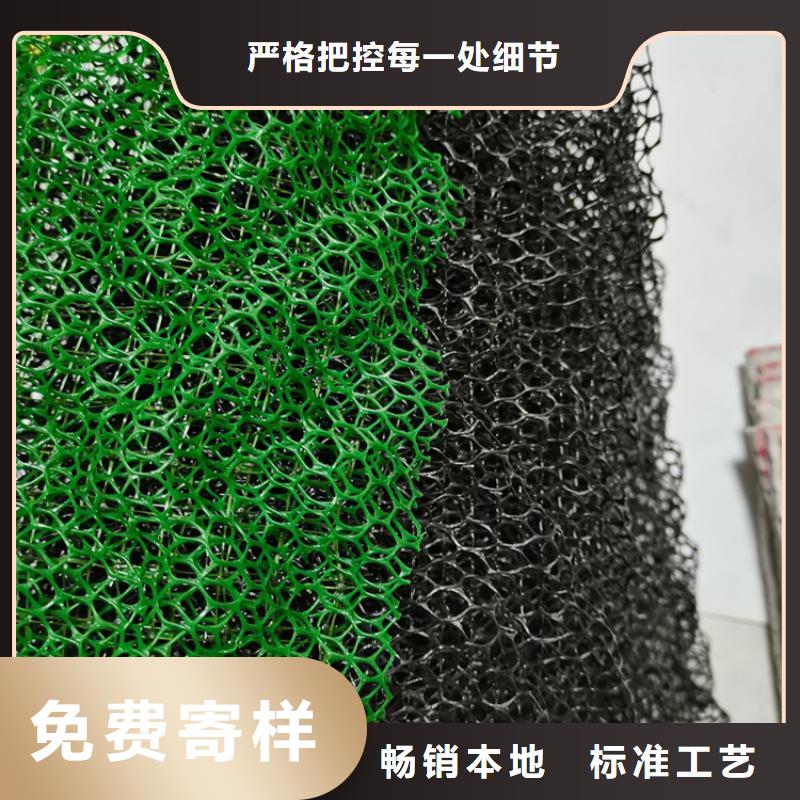 三维固土网垫EM3三维土工网垫