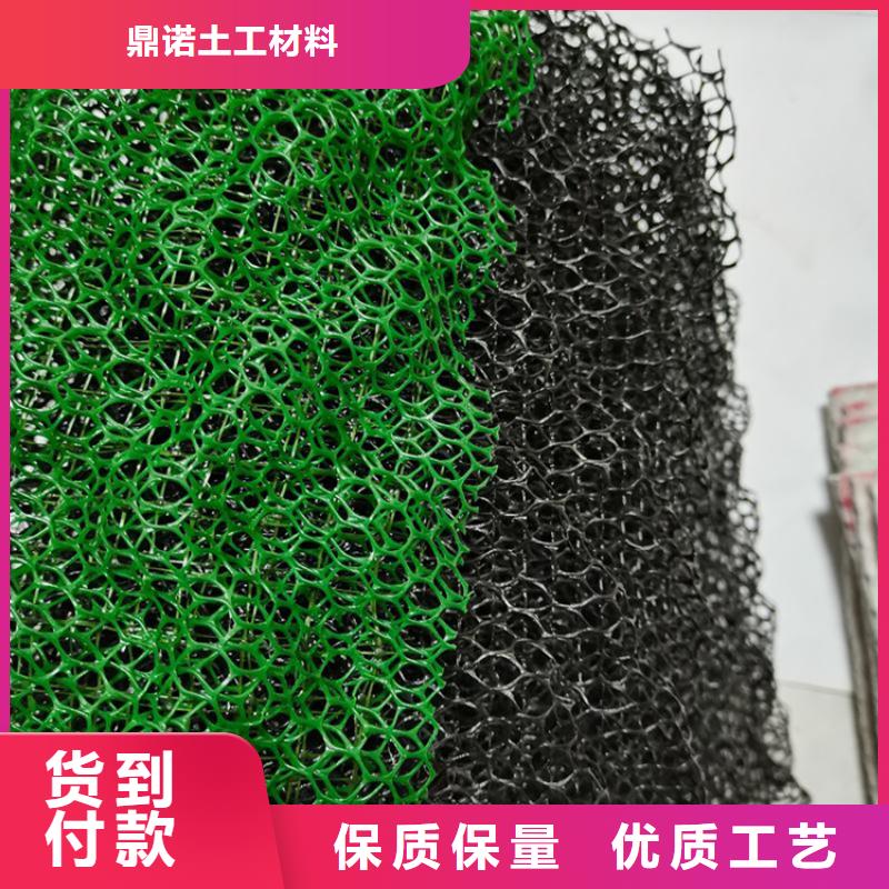 三维土工网垫-三维土工网垫