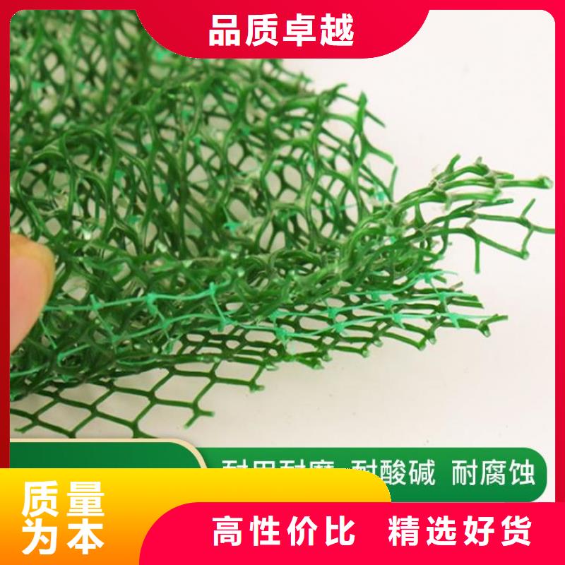 三维固土网垫EM3三维植被网
