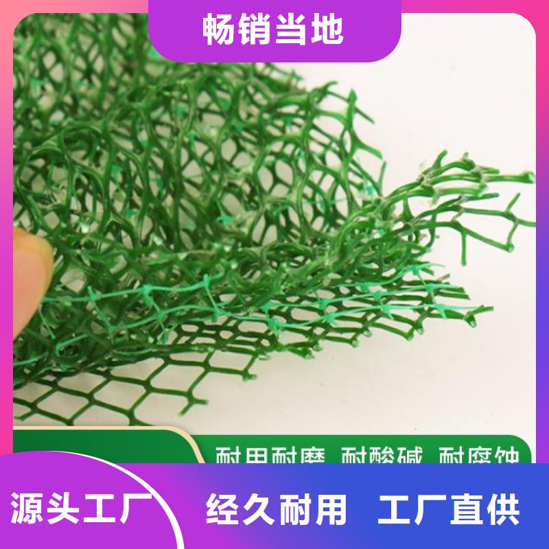 加筋塑料三维固土网垫