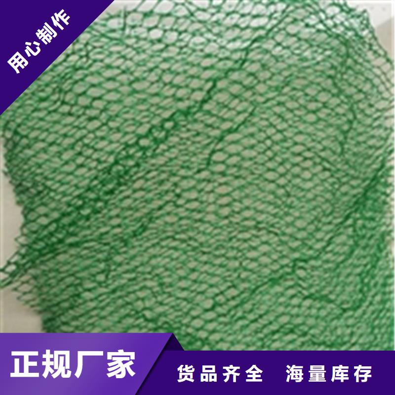 环保塑料三维土工网垫
