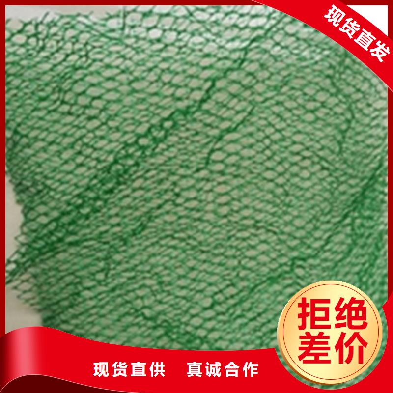 EM3护坡三维植被网