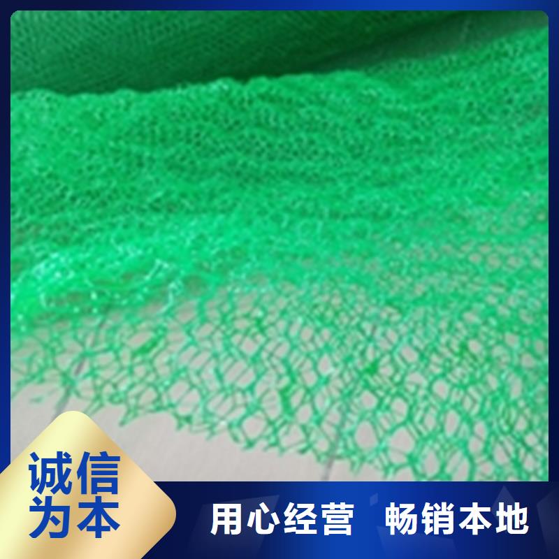 三维土工网垫-EM5三维加筋网垫