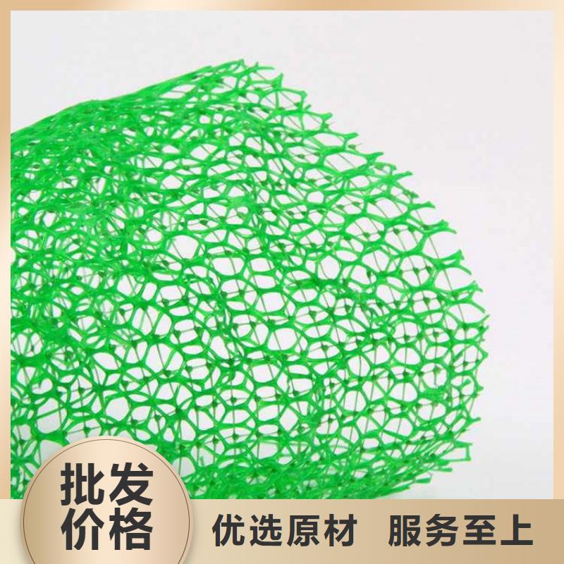 三维加筋网垫-2层3层三维植被网