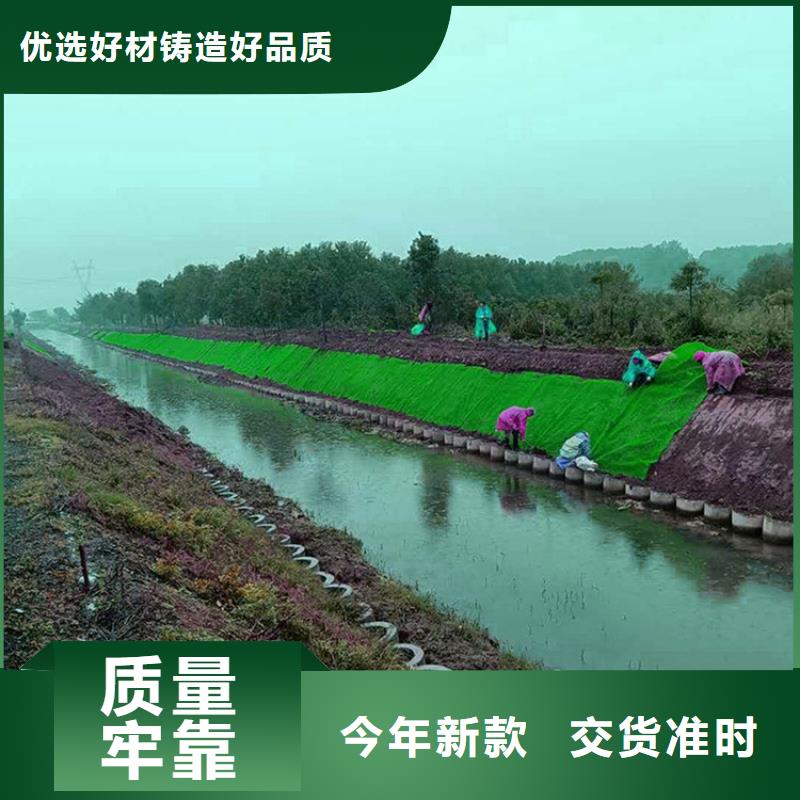 三维植被网-EM5三维加筋网垫