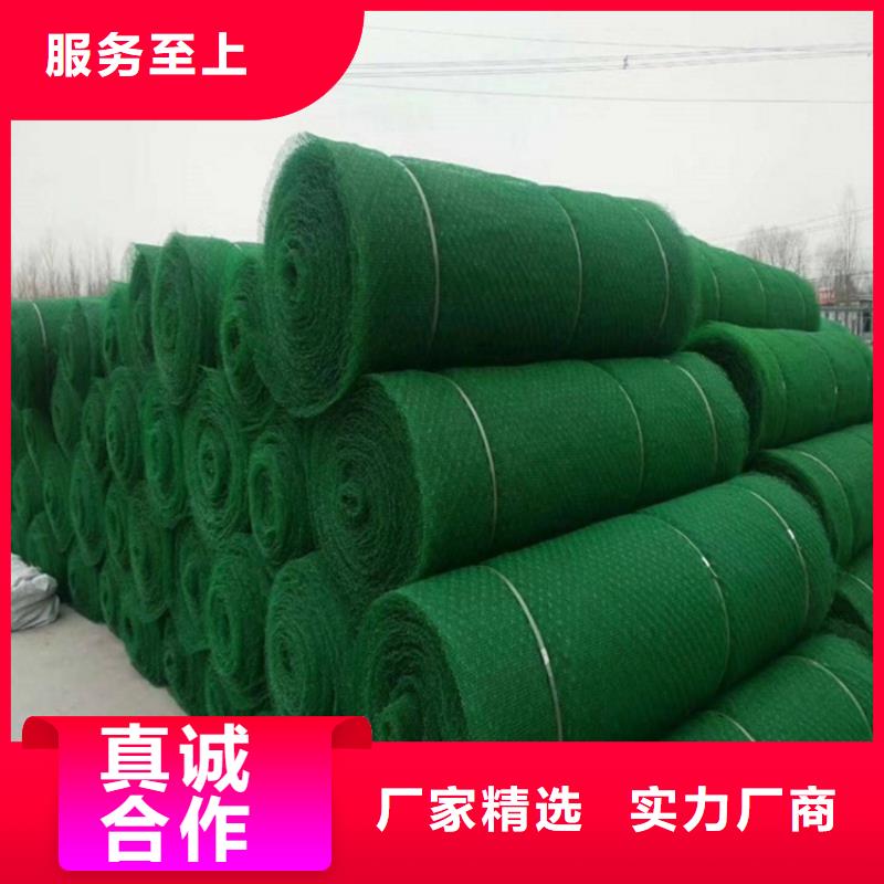 加筋EM4加筋护坡植草网垫