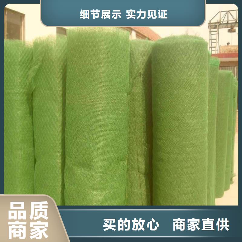 EM3三维加筋网垫-护坡三维土工网垫
