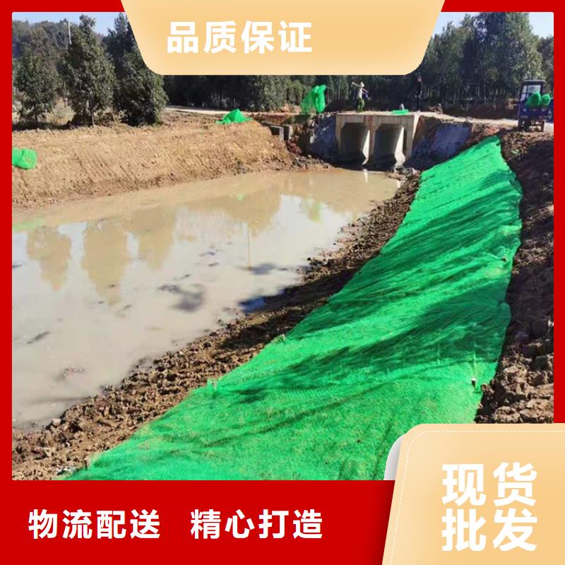 三维植被网诚信厂家