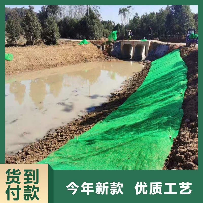 三维土工网垫EM2边坡