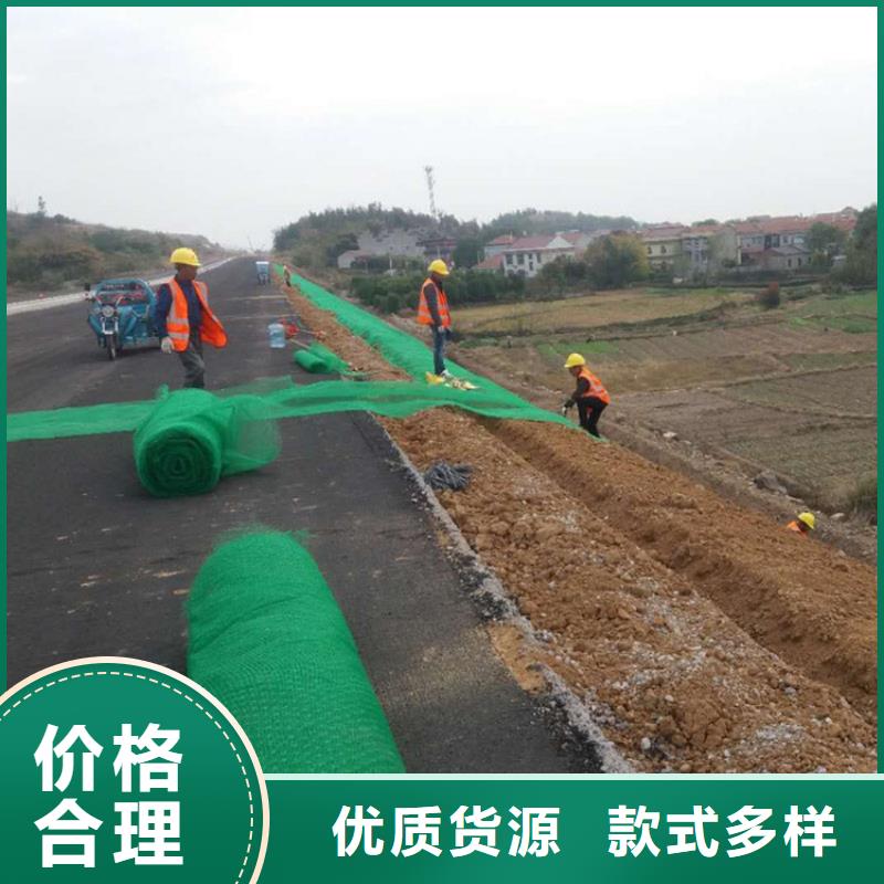 三维植被网厂家现货