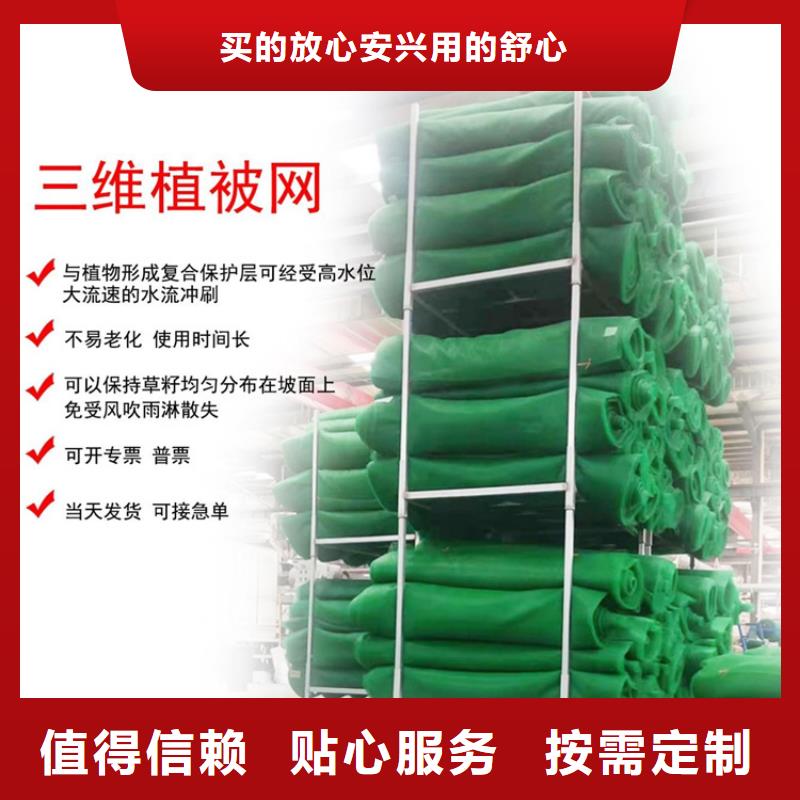 三维固土网垫EM3三维加筋网垫