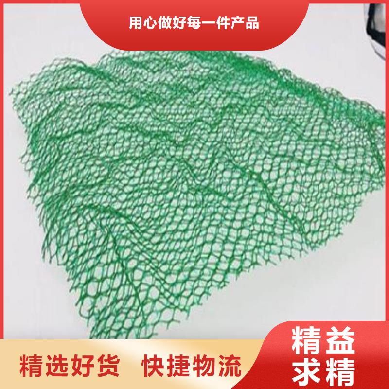 EM4三维固土网垫-3层4层三维植被网