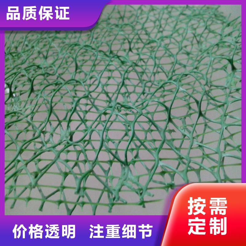 EM3三维加筋网垫