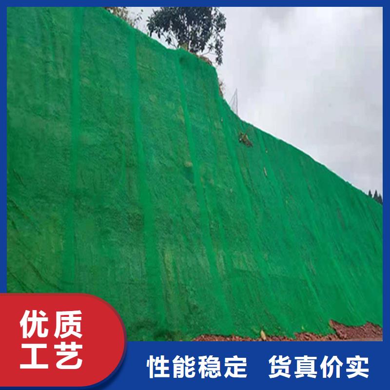 三维土工网垫厂家代理