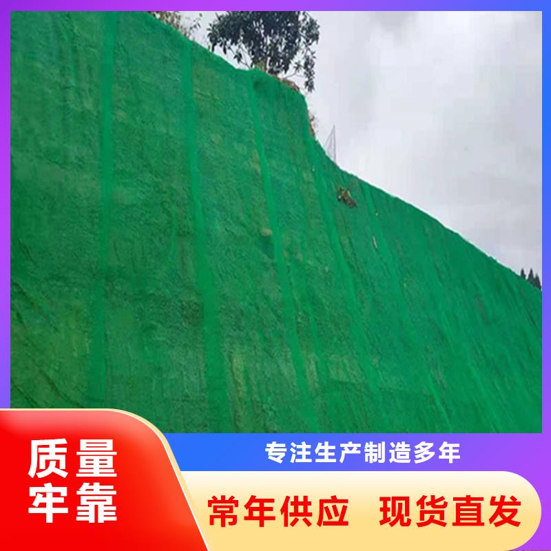 EM4三维固土网垫