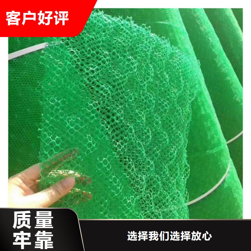 三维植被网厂家现货
