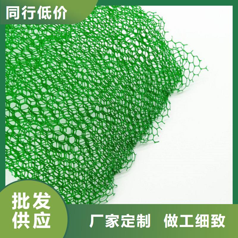 三维土工网垫厂家代理