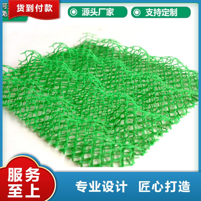 三维固土网垫EM3三维加筋网垫