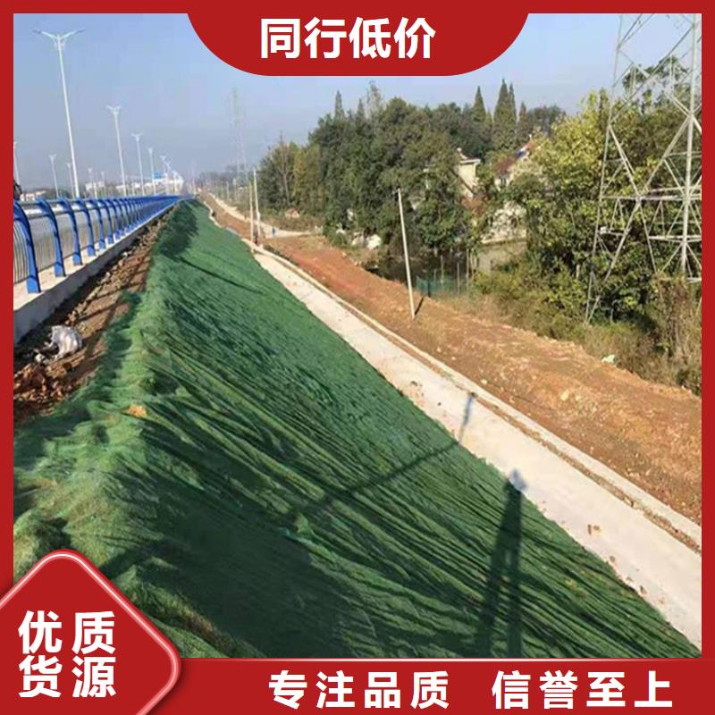 三维植草网垫环保绿化