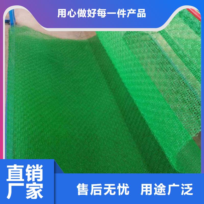 三维植草网垫环保绿化