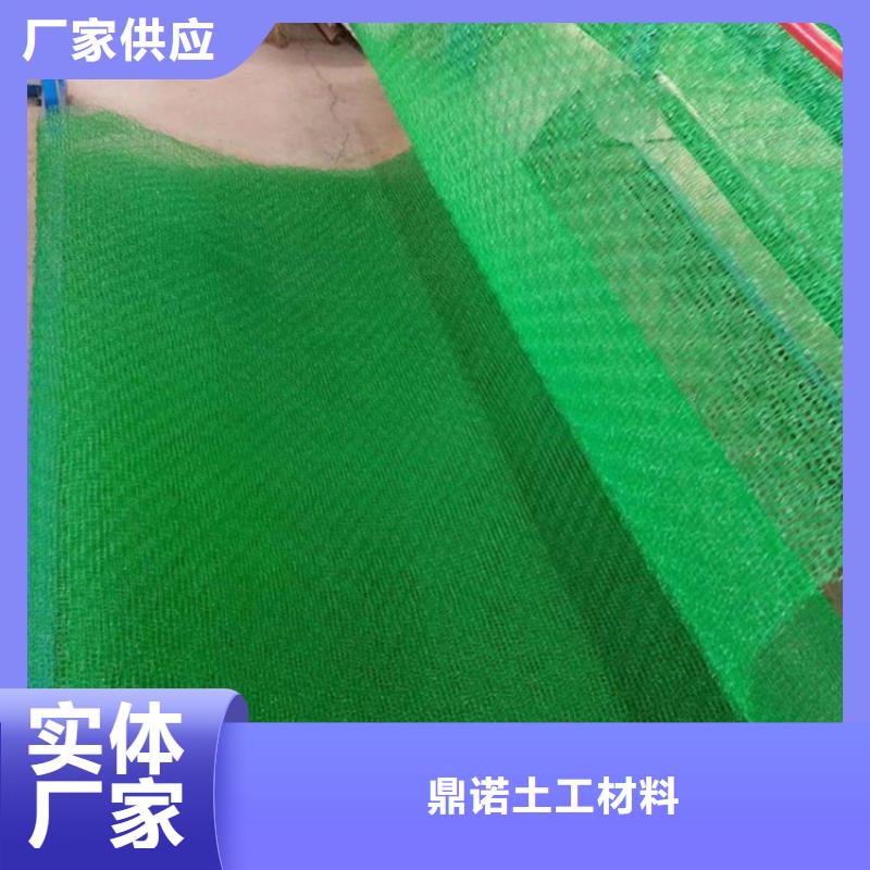 三维固土网垫EM4三维护坡植草网垫